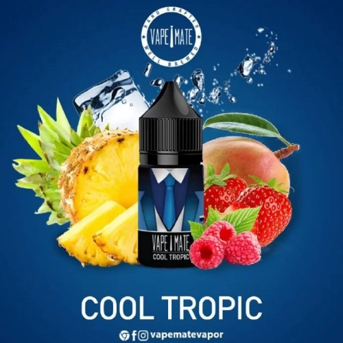 Vape Mate Cool Tropic Salt Likit - DR. Juicy